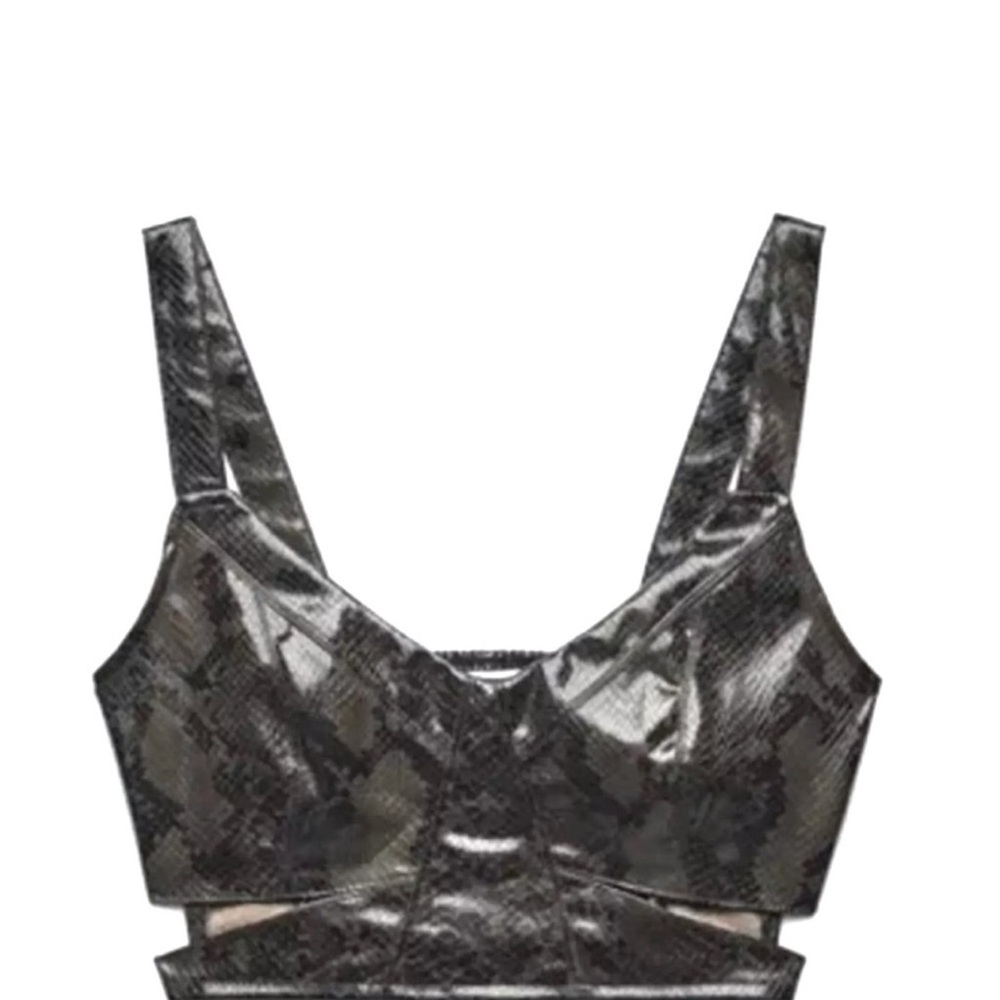 Zara Snake Print Crop Top